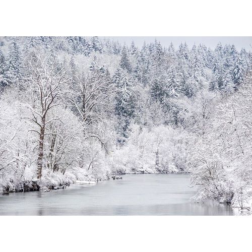 Washington State-Fall City and the Snoqualmie river with winter fresh snow fall